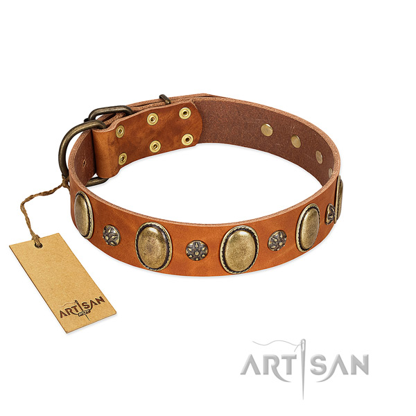 Fancy walking gentle to touch leather dog collar with adornments