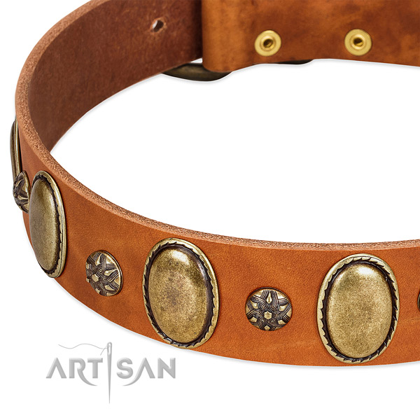 Easy wearing top notch genuine leather dog collar