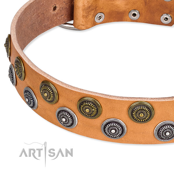 Daily use embellished dog collar of quality leather