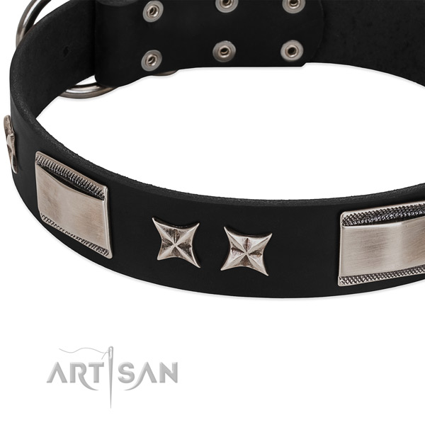 Best quality full grain genuine leather dog collar with durable fittings