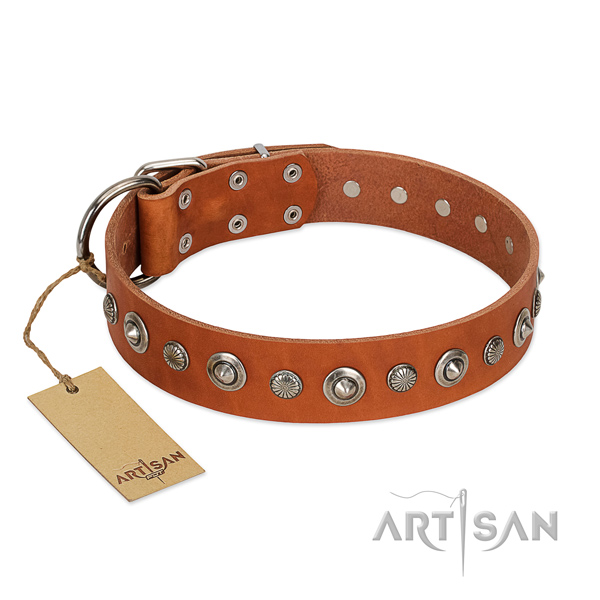 Top quality full grain genuine leather dog collar with remarkable studs