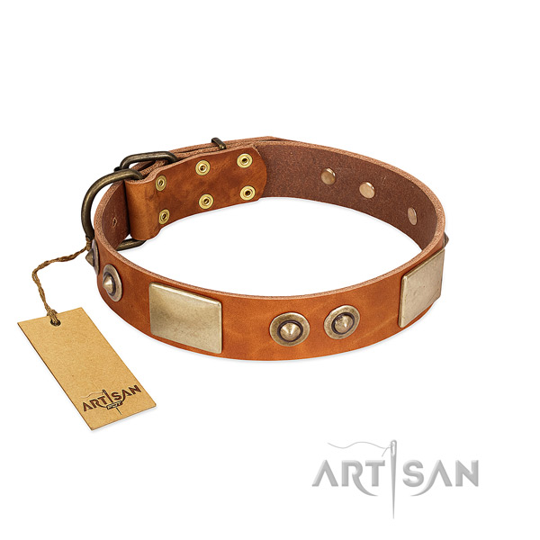 Easy adjustable genuine leather dog collar for daily walking your canine