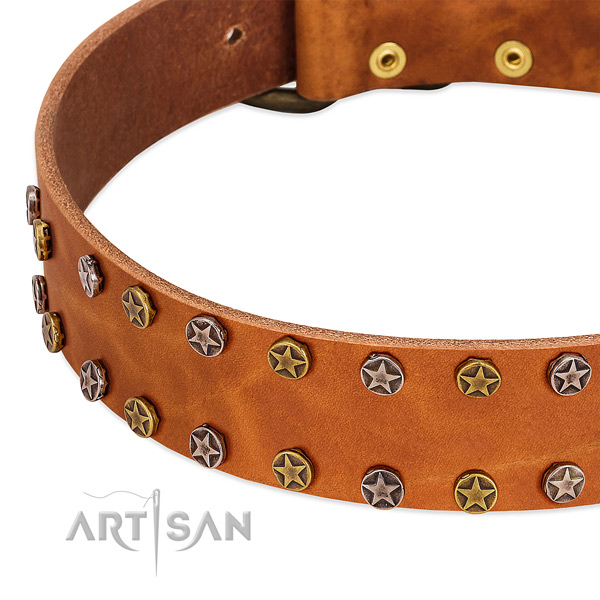 Daily use full grain genuine leather dog collar with significant embellishments