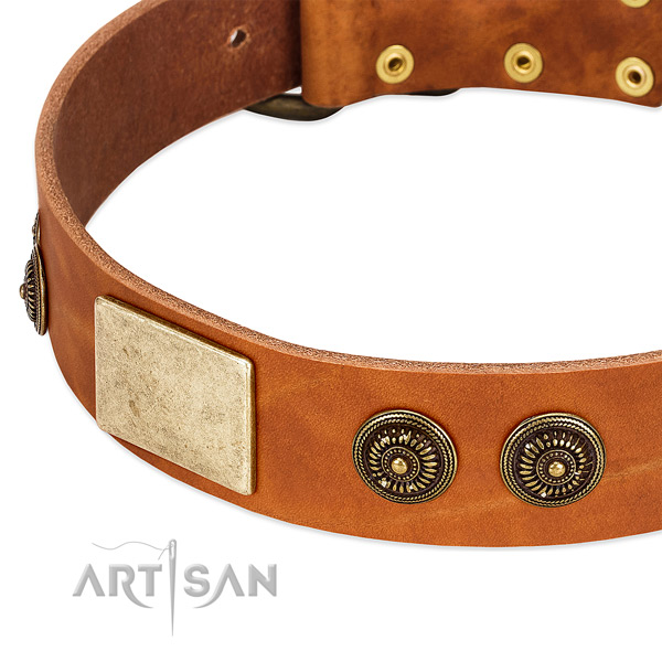 Perfect fit dog collar handcrafted for your stylish dog