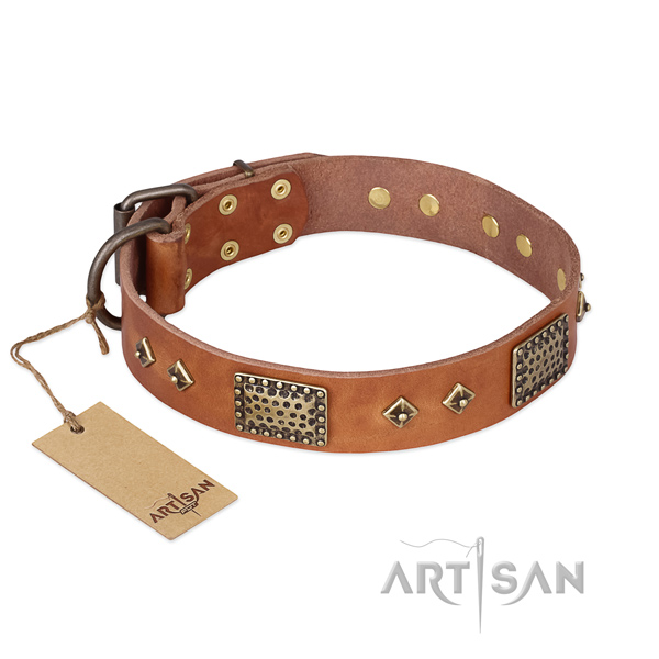 Trendy full grain natural leather dog collar for daily walking