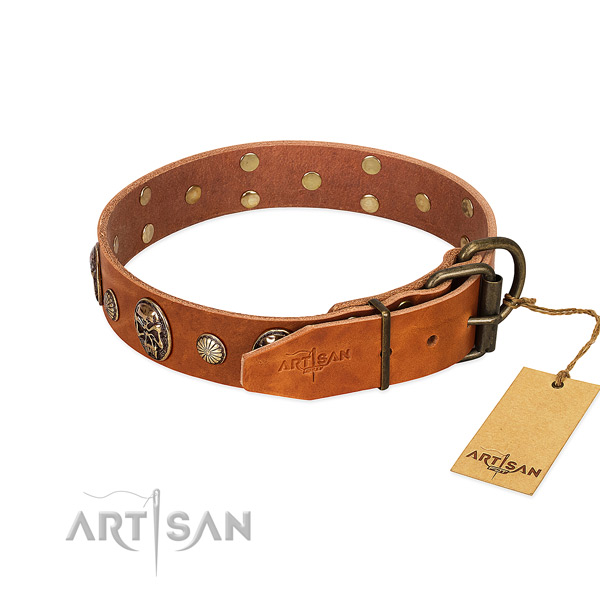 Corrosion resistant buckle on genuine leather collar for fancy walking your doggie