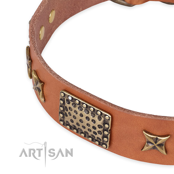 Full grain genuine leather collar with rust-proof hardware for your beautiful doggie