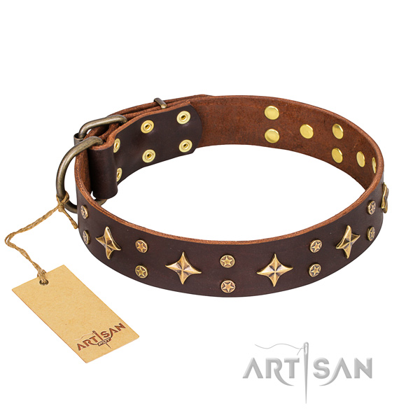 Basic training dog collar of top notch full grain leather with decorations