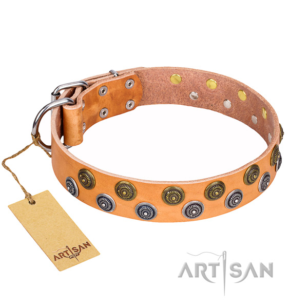 Comfortable wearing dog collar of reliable full grain natural leather with studs