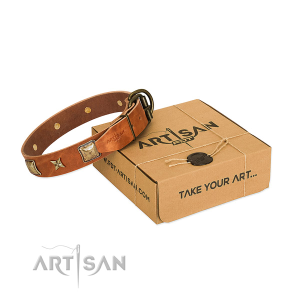 Incredible leather collar for your lovely four-legged friend