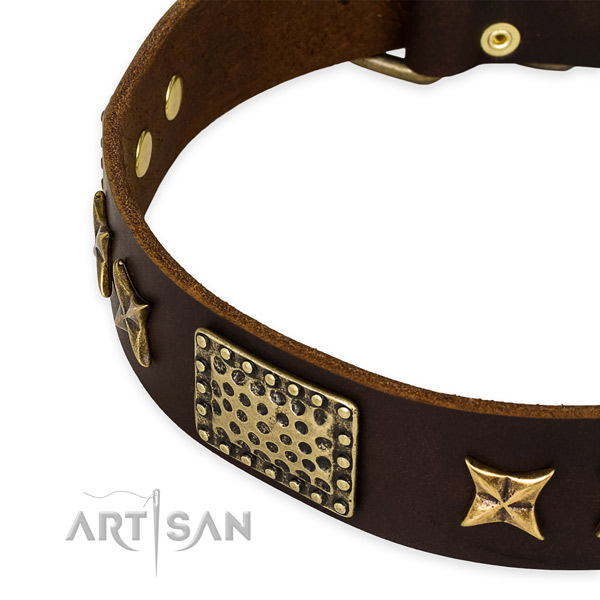 Full grain leather collar with corrosion proof buckle for your stylish canine