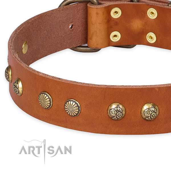 Genuine leather collar with strong traditional buckle for your impressive four-legged friend