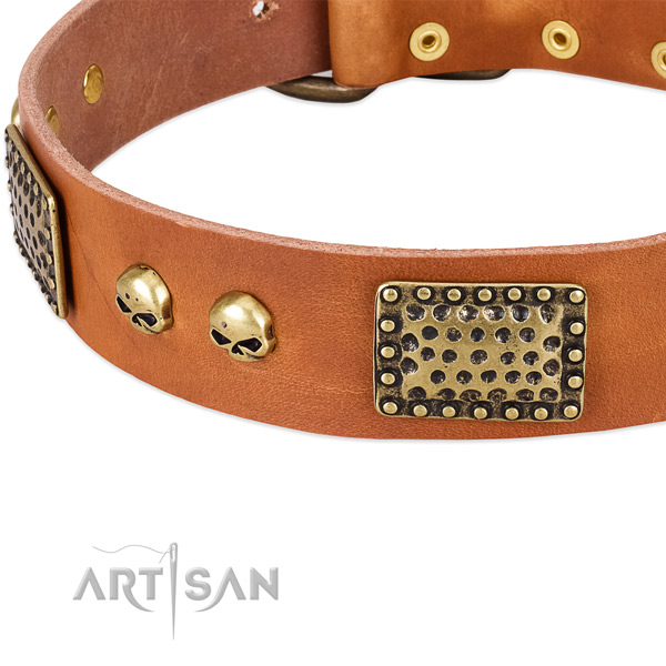 Reliable adornments on genuine leather dog collar for your doggie