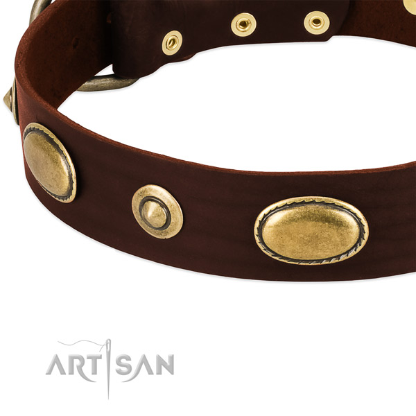 Rust resistant traditional buckle on genuine leather dog collar for your pet