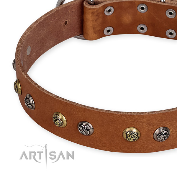 Full grain leather dog collar with extraordinary rust-proof studs