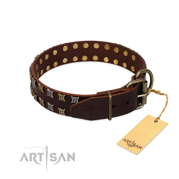 Reliable leather dog collar handmade for your four-legged friend