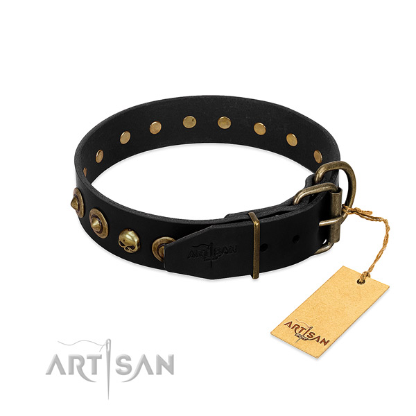 Leather collar with incredible studs for your canine