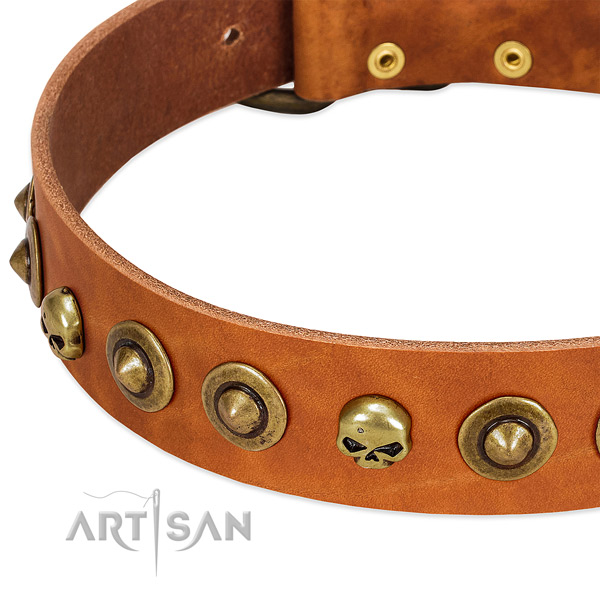 Stunning adornments on full grain natural leather collar for your dog