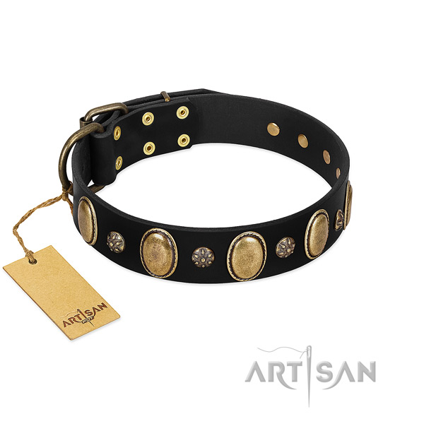 Daily use top rate genuine leather dog collar with studs