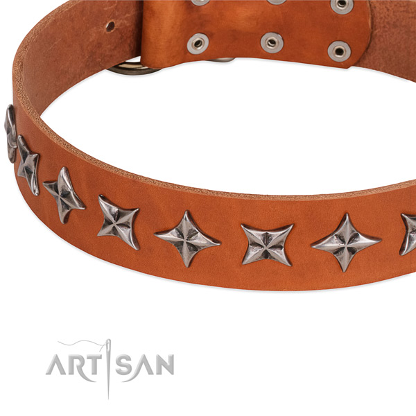 Easy wearing studded dog collar of strong full grain natural leather