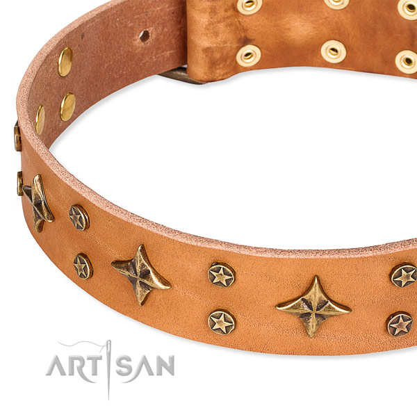 Easy wearing studded dog collar of quality natural leather