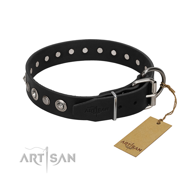 Fine quality natural leather dog collar with incredible embellishments