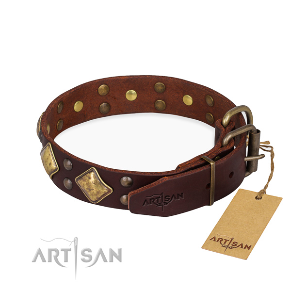Genuine leather dog collar with incredible rust resistant embellishments