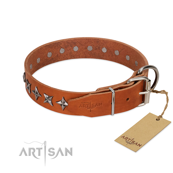 Everyday use decorated dog collar of high quality full grain genuine leather