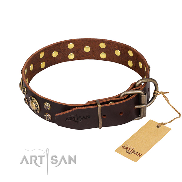 Everyday walking adorned dog collar of strong natural leather