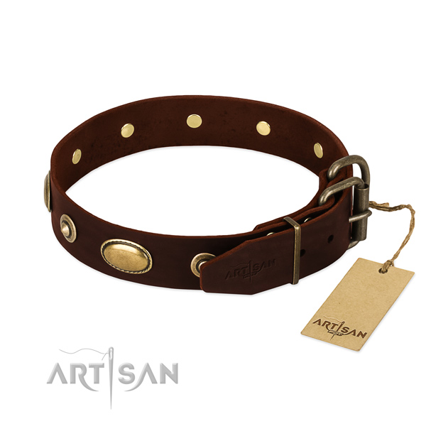 Corrosion proof decorations on full grain leather dog collar for your dog