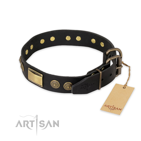 Rust resistant fittings on natural genuine leather collar for stylish walking your doggie