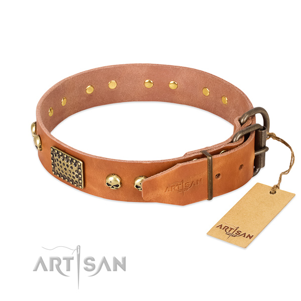 Durable adornments on comfy wearing dog collar
