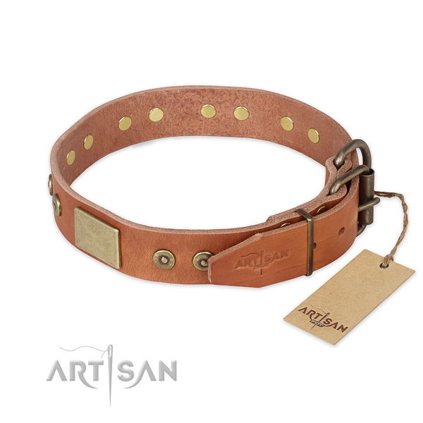 Strong D-ring on leather collar for walking your four-legged friend