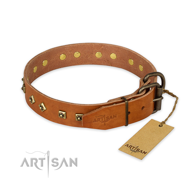 Rust resistant buckle on natural leather collar for stylish walking your pet