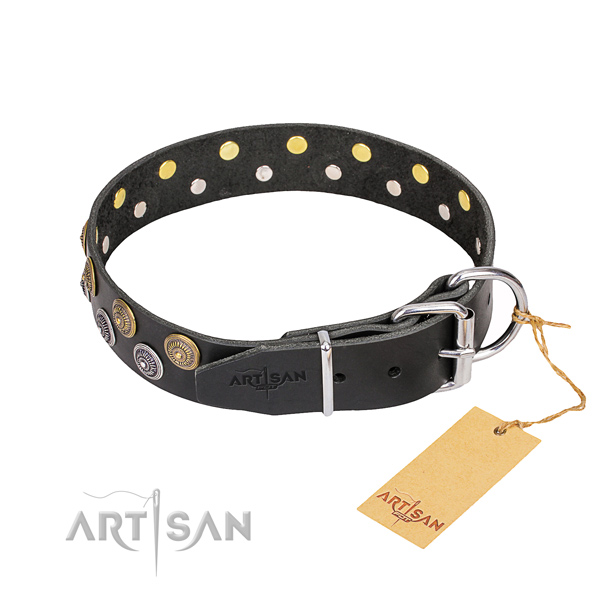 Walking adorned dog collar of high quality full grain natural leather