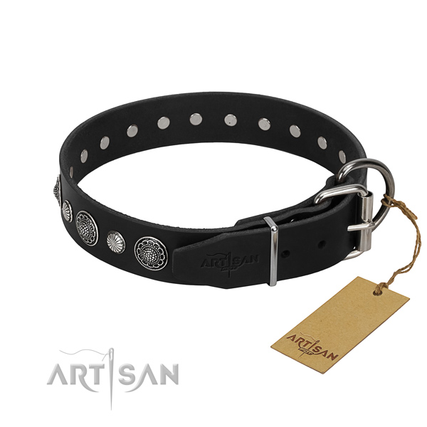 Top notch natural leather dog collar with impressive embellishments