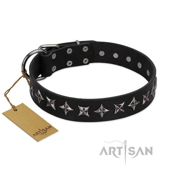 Handy use dog collar of reliable full grain leather with embellishments