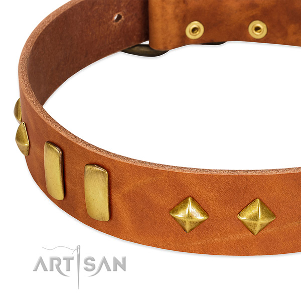 Everyday use full grain genuine leather dog collar with significant decorations