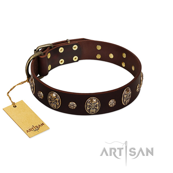 Decorated leather collar for your pet