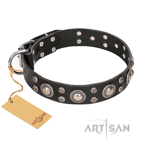 Everyday use dog collar of reliable natural leather with embellishments