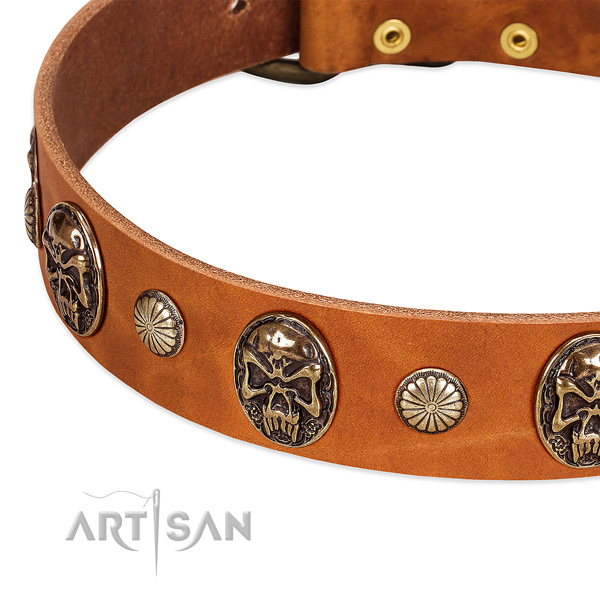 Rust resistant traditional buckle on full grain genuine leather dog collar for your canine