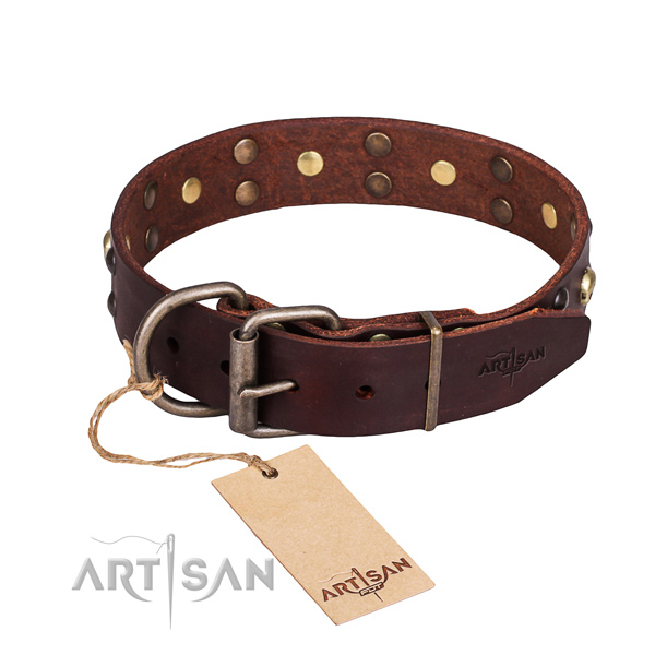 Walking studded dog collar of durable full grain natural leather