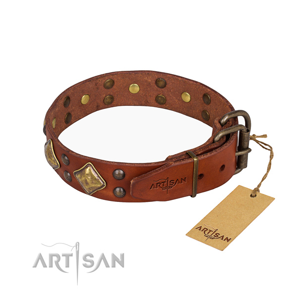 Full grain leather dog collar with awesome corrosion resistant studs