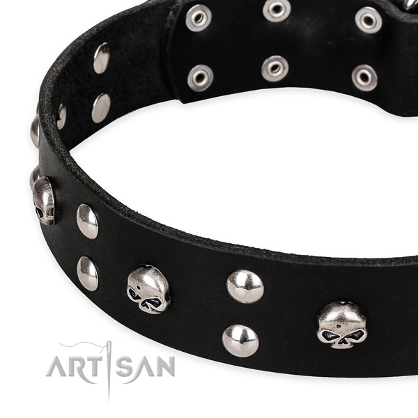 Walking adorned dog collar of strong natural leather