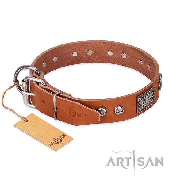 Corrosion resistant decorations on stylish walking dog collar