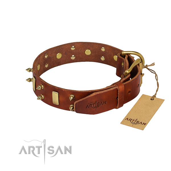 Daily use decorated dog collar of reliable natural leather