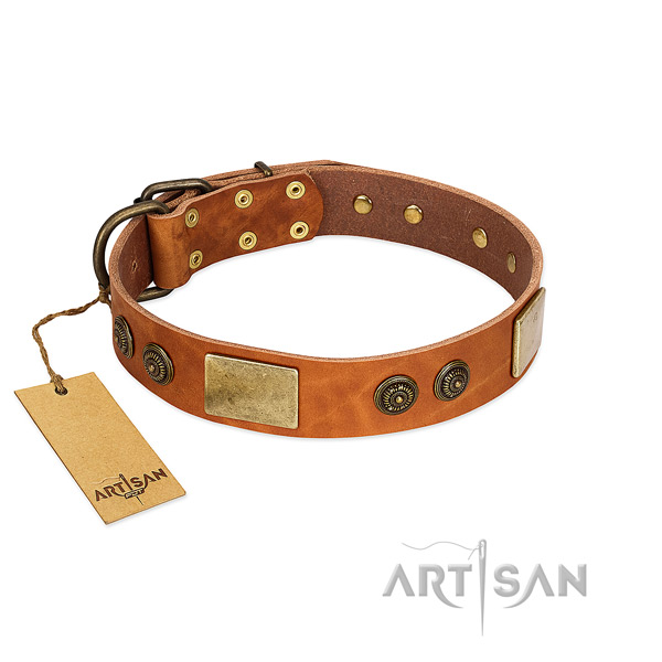 Best quality full grain natural leather dog collar for basic training