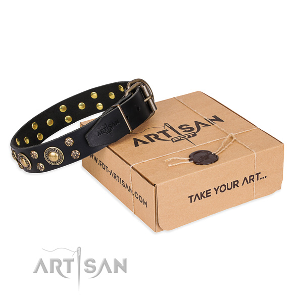 Comfy wearing dog collar of durable genuine leather with adornments