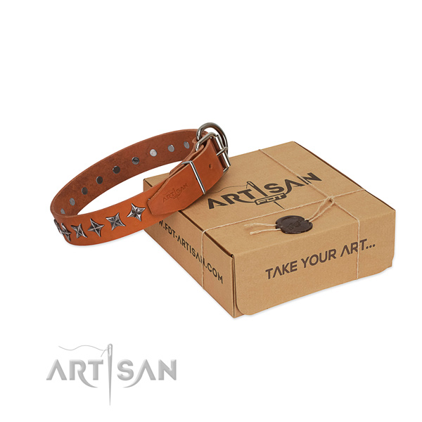 Top quality genuine leather dog collar with inimitable adornments