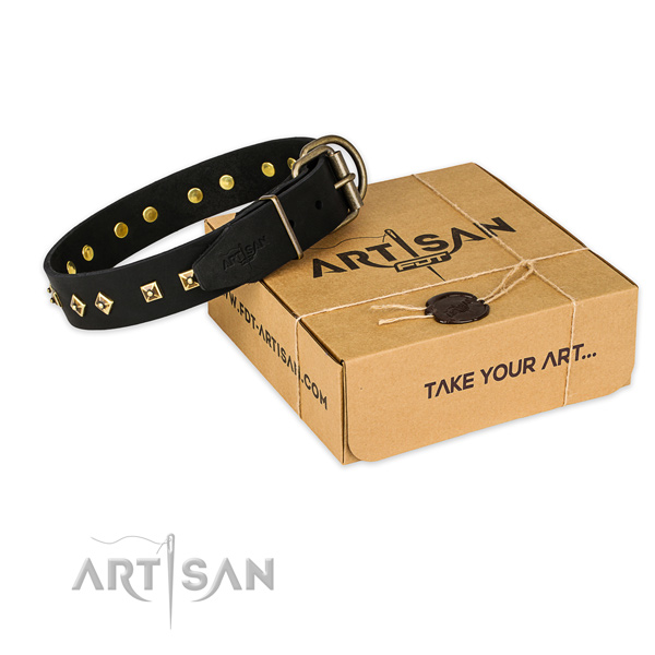 Rust resistant traditional buckle on full grain leather collar for your stylish four-legged friend